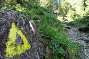 14  Sul sent. 301-305 nel bosco seguendo la valle 